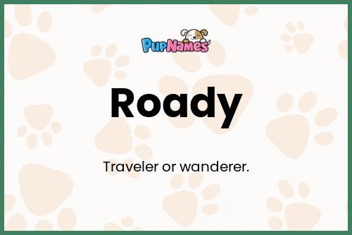 Roady dog name meaning