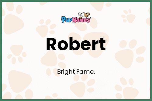 Robert dog name meaning