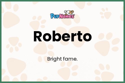 Roberto dog name meaning