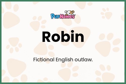 Robin dog name meaning