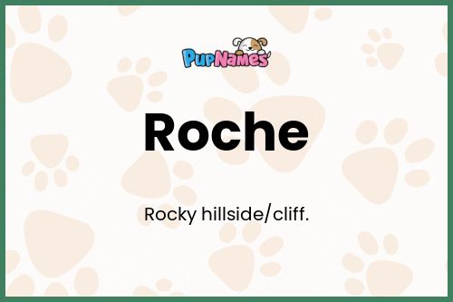 Roche dog name meaning