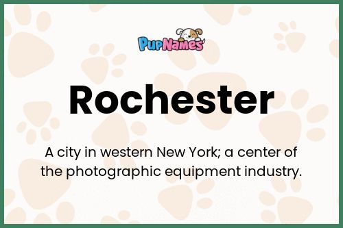 Rochester dog name meaning