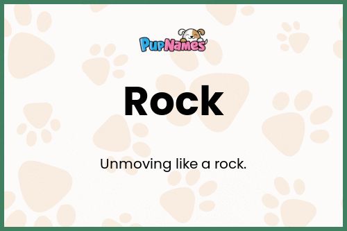 Rock dog name meaning