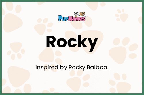 Rocky dog name meaning