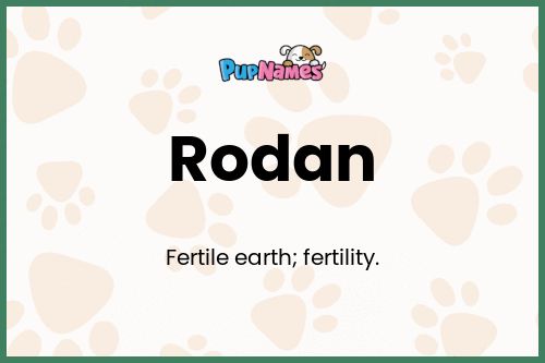 Rodan dog name meaning