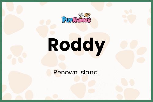 Roddy dog name meaning