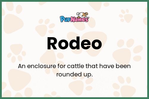 Rodeo dog name meaning