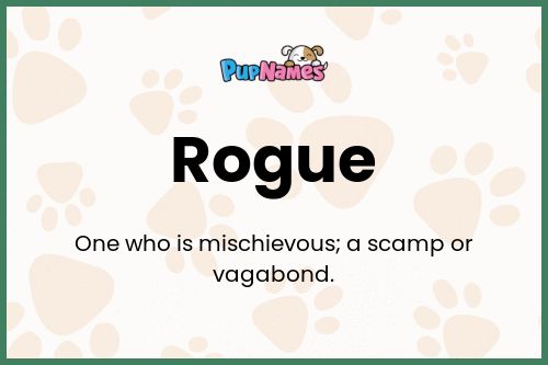 Rogue dog name meaning