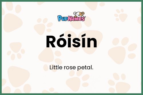 Róisín dog name meaning