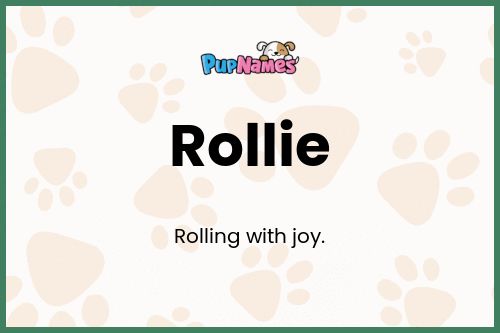 Rollie dog name meaning