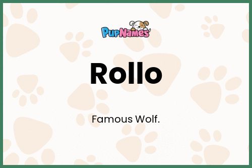 Rollo dog name meaning