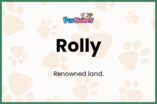 Rolly dog name meaning