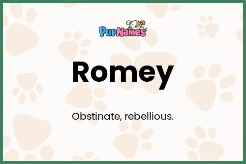 Romey dog name meaning