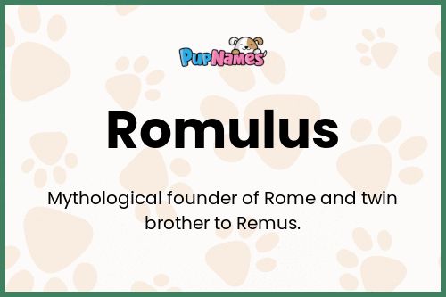 Romulus dog name meaning