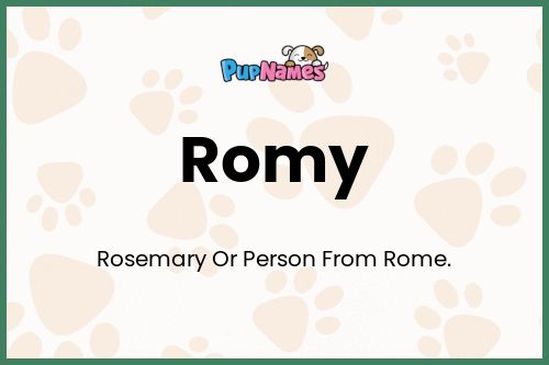 Romy dog name meaning