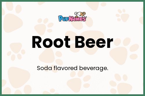Root Beer dog name meaning