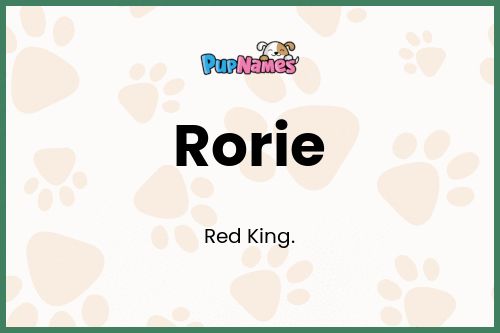 Rorie dog name meaning