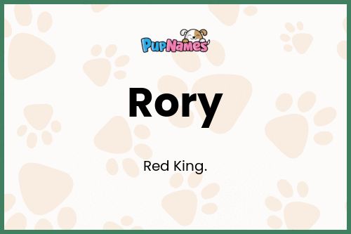 Rory dog name meaning