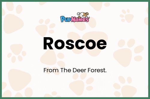 Roscoe dog name meaning