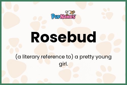 Rosebud dog name meaning
