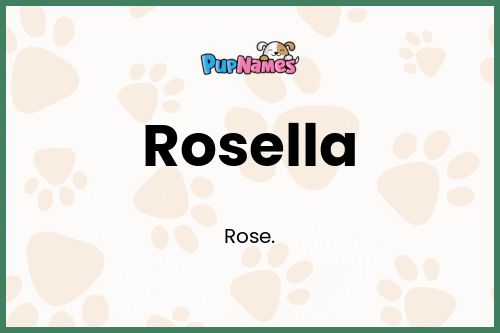 Rosella dog name meaning