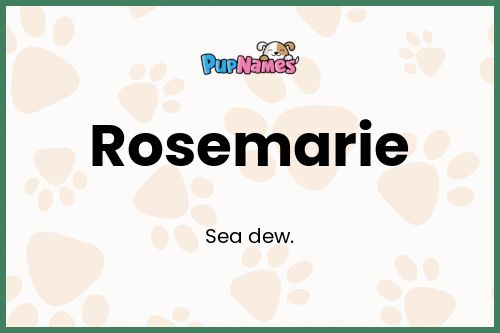 Rosemarie dog name meaning