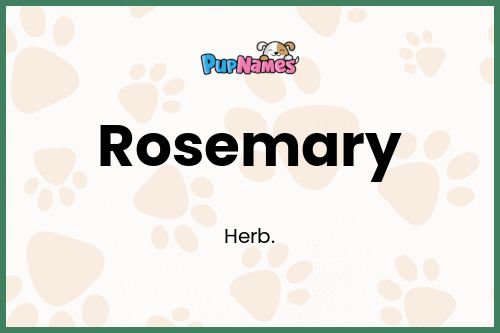 Rosemary dog name meaning