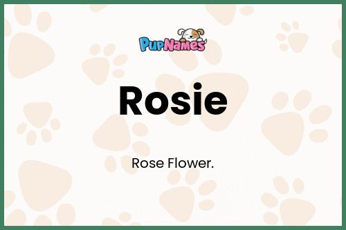 Rosie dog name meaning