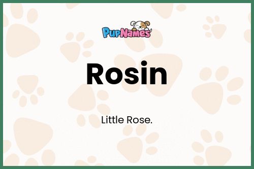 Rosin dog name meaning