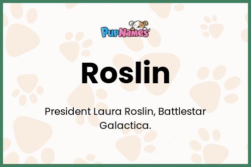 Roslin dog name meaning