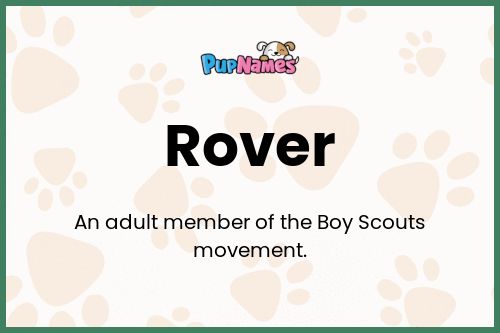 Rover dog name meaning