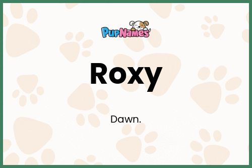 Roxy dog name meaning