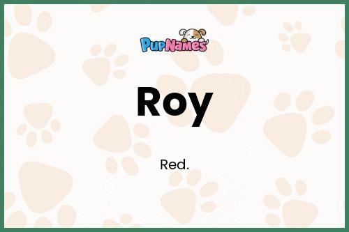 Roy dog name meaning