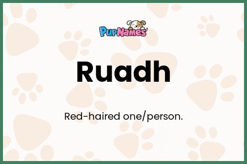 Ruadh dog name meaning