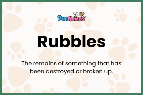 Rubbles dog name meaning