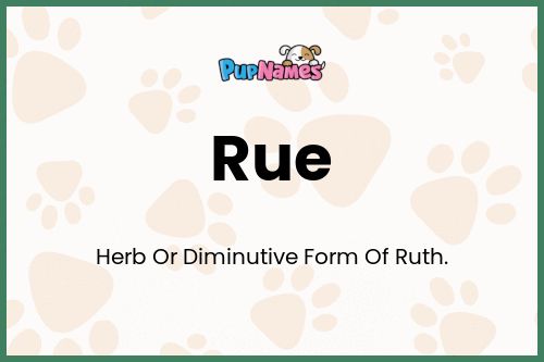 Rue dog name meaning
