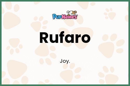 Rufaro dog name meaning