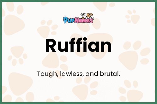 Ruffian dog name meaning