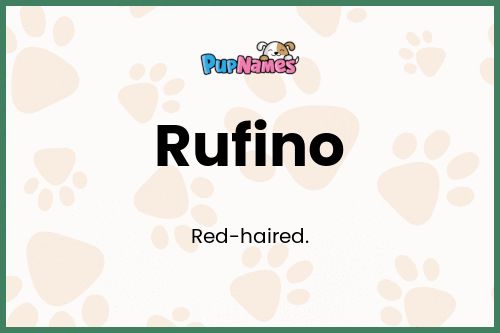 Rufino dog name meaning