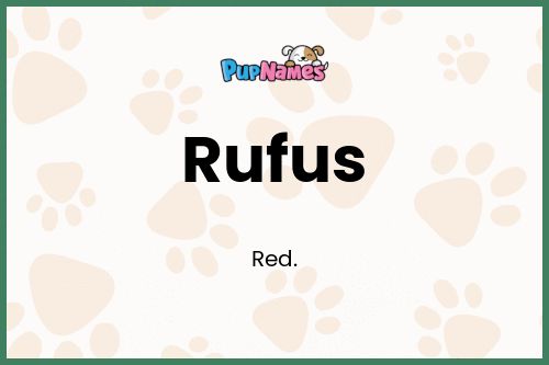 Rufus dog name meaning