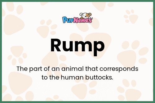 Rump dog name meaning