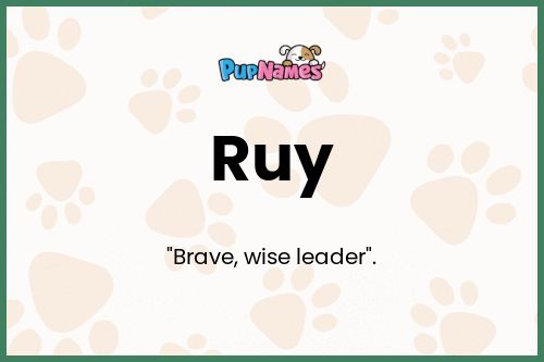 Ruy dog name meaning