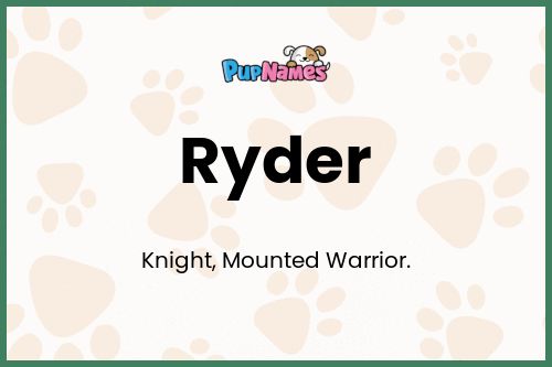 Ryder dog name meaning