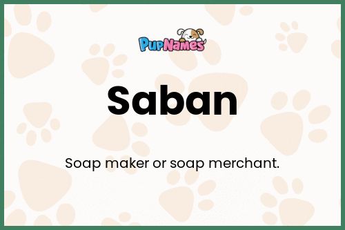 Saban dog name meaning