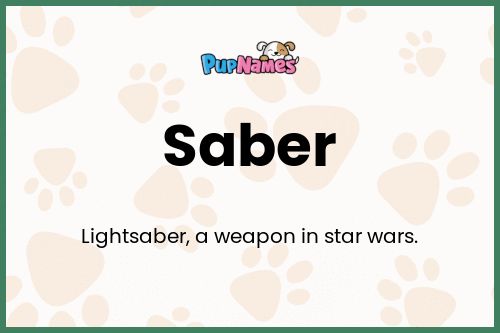 Saber dog name meaning