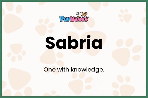 Sabria dog name meaning