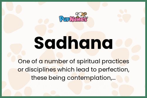 Sadhana dog name meaning