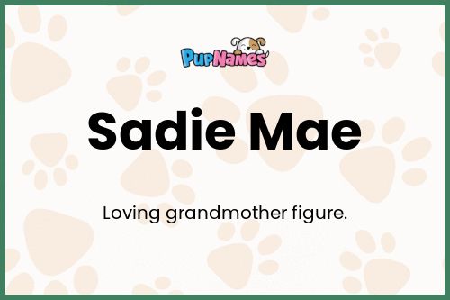 Sadie Mae dog name meaning