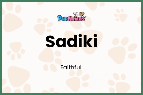 Sadiki dog name meaning