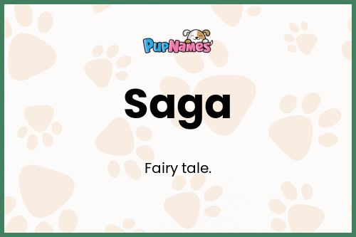 Saga dog name meaning